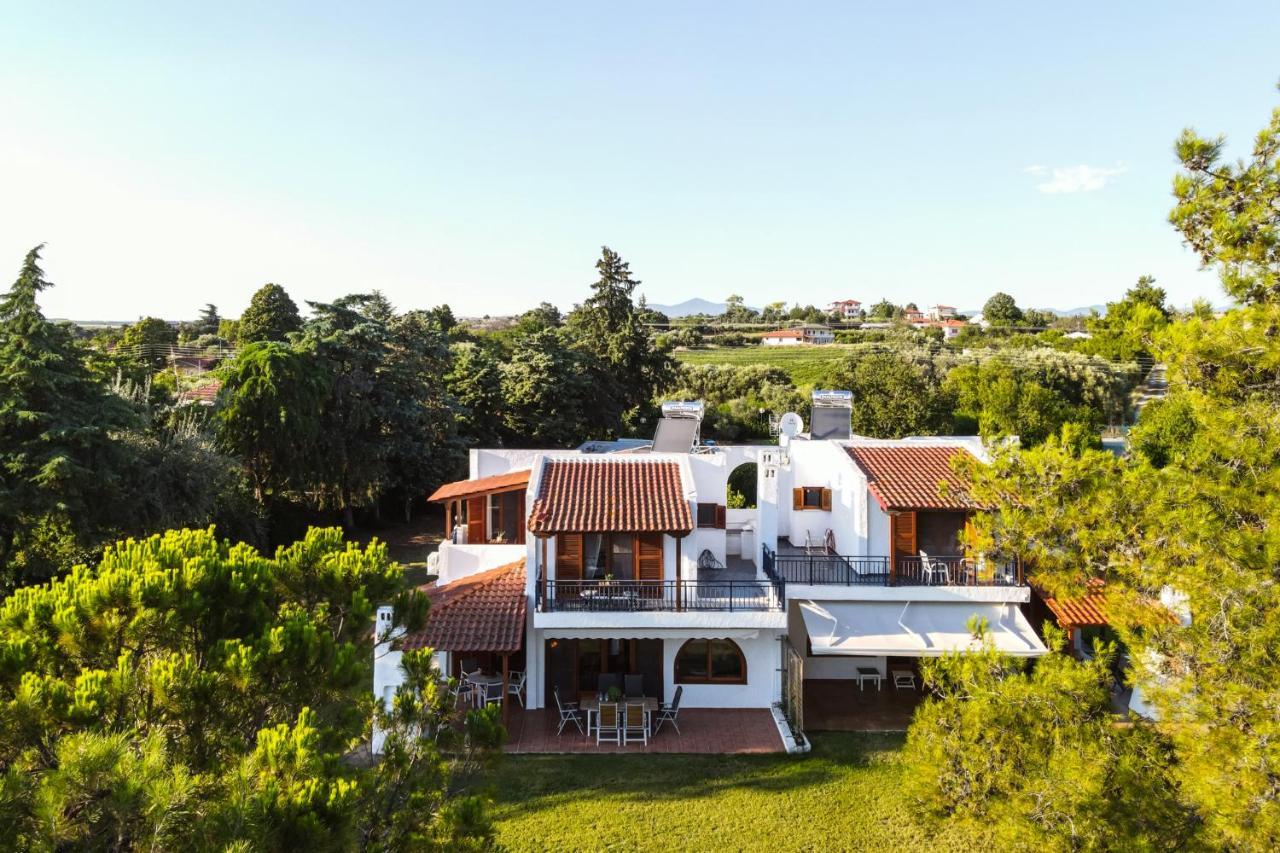 Luna Villa Private Beach Néa Iráklia Kültér fotó